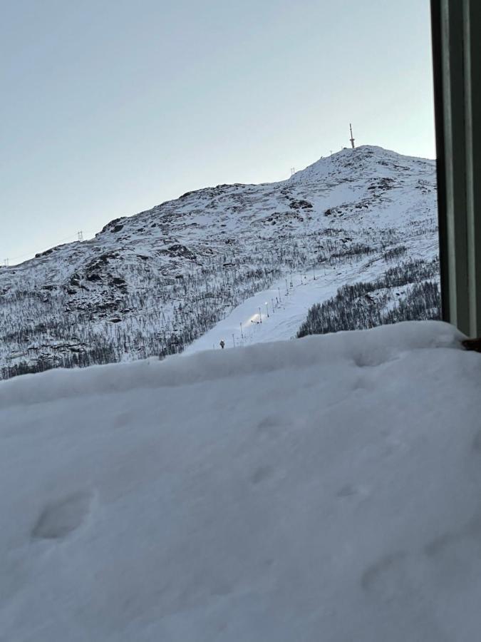Presttind - Studio Apartment With Free Parking Narvik Exterior photo